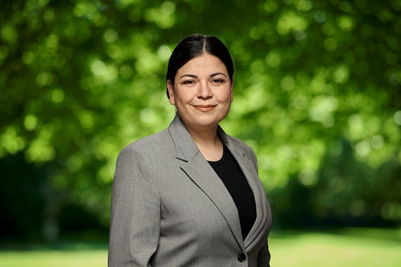 Derya 72 DPI Plakat Lag